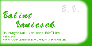 balint vanicsek business card